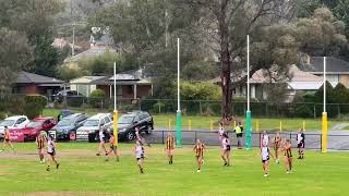 Round 12 Q2 Mooroolbark vs North Ringwood 20 July 2024 [upl. by Arelc700]