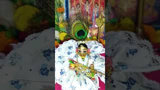 Payar 🌸❤️harekrishna radheradhe youtubeshorts viralvideo shortvideo youtube ytshorts sorts [upl. by Brigid83]