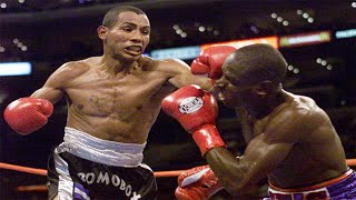 Ricardo Mayorga vs Andrew Lewis I amp II  Highlights EL MATADOR REIGNS [upl. by Miru]