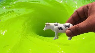 Whirlpools and cow Whirlpool Whirlpool Video toy Whirlpool toys [upl. by Atiana]