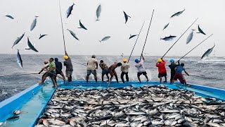 Amazing Fast Classic Tuna fishing Skill Caught Hundreds Tons of Tuna on The Boat [upl. by Nicoline]