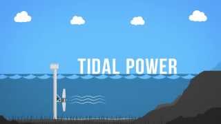 Tidal Power 101 [upl. by Yrehcaz]