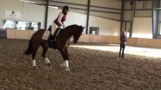 Ingrid Klimke Clinic 2015 Canter Work [upl. by Mosi]