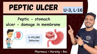 peptic ulcer  peptic ulcer pathophysiology  peptic ulcer pathophysiology b pharmacy pepticulcer [upl. by Annairdna770]