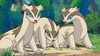 Zigzagoon and Linoone Pokemon all Attacks pokemon zigzagoon linoone all new attacks [upl. by Enovaj]