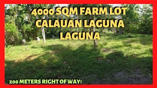 4000 sqm Farm Land in Calauan Laguna Lot Code 2353A [upl. by Slemmer]