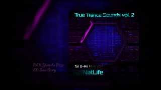 UHe Hive VST True Trance Sounds vol 2 [upl. by Enimsaj]