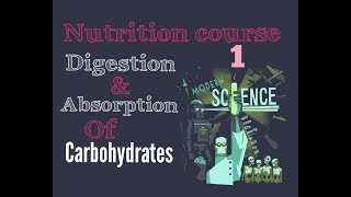 Biochemistry Nutrition course lecture  1   carbohydrates digestion  absorption [upl. by Timothee]