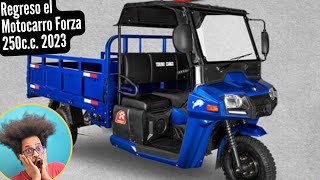 Regreso el Motocarro Forza 250cc Modelo 2023  Torino Motors [upl. by Kenlay]