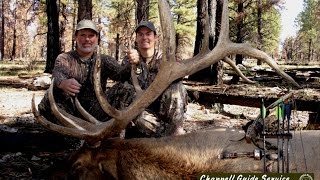 Arizona Elk Hunting Unit 9 Arizona Archery Elk Hunt Pro Video [upl. by Piegari525]