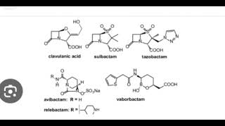 Beta Lactamase Inhibitors [upl. by Ettezoj715]