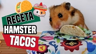 🐹HAMSTER COMIENDO TACOS  COCINA PARA HAMSTER 🍴 [upl. by Sivlek]