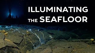 Illuminating the Seafloor [upl. by Leunamme286]