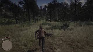 Tesoros peleas y misiones principales  Red Dead Redemption 2 [upl. by Surad884]