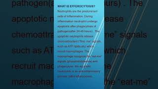 WHAT IS EFFEROCYTOSIS [upl. by Redienhcs]