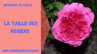 La taille des rosiers  Monjardindansleslandes [upl. by Koffman]