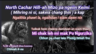 Mizo pain North Cachar Hillah Keimi Mihring sakeia a kap  Pa Nîa Kolasib kawmna  4 [upl. by Ener]