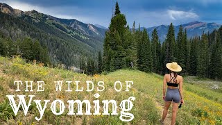 Wyoming The Wild Camping Adventure You Need To Have [upl. by Bindman]