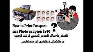 how to print passport size photo in Epson l805 [upl. by Ateerys]