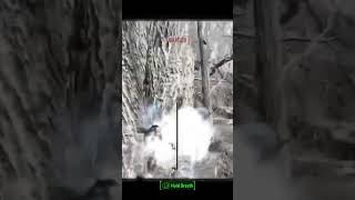 Deleted before her molotov hit the ground fallout fallout4 live gaming bethesda gamer [upl. by Lleda688]