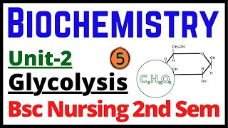 Glycolysis Cycle  Glycolysis Pathway  Carbohydrates Metabolism  Glycolysis in Hindi nursingkit [upl. by Jean-Claude693]