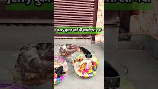 Baby duck जिंदा हुआ और Fish shop वाले की मछली खा गया  shorts birds fishingvideo jerry petsvlog [upl. by Aek873]