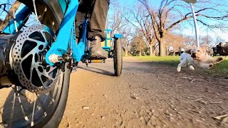 Best Electric Trike in Melbourne Or all of Australia The Eunorau Electric Trike We love it [upl. by Estrin281]