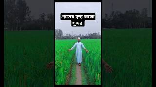 গ্রামের অসাধারণ দৃশ্য islamic video stauts gojol [upl. by Shirline]