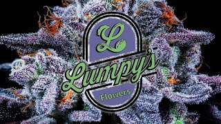 Lumpy’s Flowers NorCal’s TRUE craft cannabis legacy brand [upl. by Wesla791]