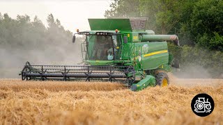 Moisson de blé dans le Nord avec une John Deere T550 [upl. by Sothena]