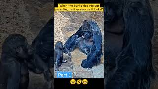 Part 1 quotFather vs Naughty Gorilla Baby – The Jungle Showdown Beginsquot😆🫨😩 whatssofunnyfunnyseries [upl. by Iruyas]