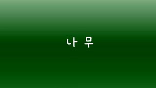 Korean Reading Practice [upl. by Niwroc]