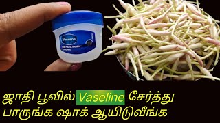 ஜாதிப்பூ ஒரு வாரம் வரை வாடாமல் இருக்க இப்படி செஞ்சு பாருங்க jathi poo vadamal iruka tips [upl. by Kreiker278]