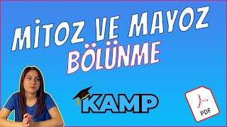 MİTOZ BÖLÜNME VE MAYOZ BÖLÜNME FULL TEKRAR TYT 2025 [upl. by Carolann775]