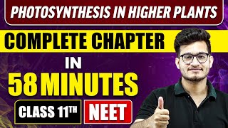 PHOTOSYNTHESIS IN HIGHER PLANTS in 58 Minutes  Full Chapter Revision  Class 11 NEET [upl. by Oicor]