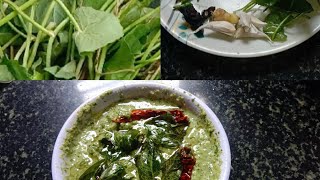 Ondelaga Brahmi leaves chutney ಒಂದೆಲಗ ಸೊಪ್ಪಿನ ಚಟ್ನಿ ರೆಸಿಪಿsinfree kitchen 💞 [upl. by Amabil]