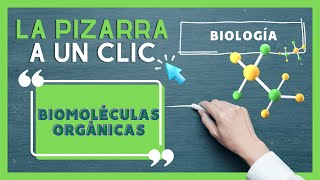 ¿Qué son las Biomoléculas Orgánicas  CPECH TE AYUDA [upl. by Phaih890]