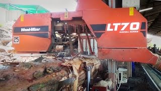 LT70 Remote Sawmill in action in South Africa  WoodMizer Sawmills [upl. by Edas]