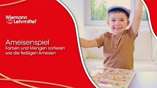 🐜🧲Ameisenspiel – Farben und Mengen sortieren wie die fleißigen Ameisen🐜🍭 [upl. by Garibull]