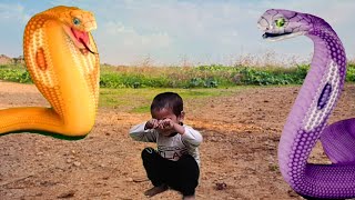 Big yellow snake attack  snake video  saamp wala video [upl. by Evered]