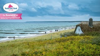 MecklenburgVorpommern  Urlaub und Ferien mit Hund [upl. by Mays]