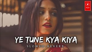 Yeh Tune Kya Kiya Song  Slowed Reverb  Lofi Music  Pritam  Akshay KumarSonakshi Sinha ESeries [upl. by Hannavas]