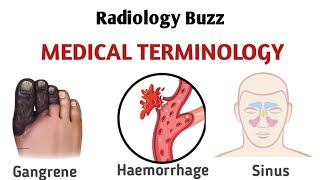 Medical Terminology [upl. by Eenafit]