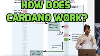 How Does Cardano Work [upl. by Doley527]