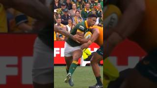 Sacha FeinbergMngomezulu in action against AustraliaSpringboks vs WallabiesRugby highlights [upl. by Hbaruas8]