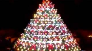 Living Christmas Tree The Light [upl. by Rubinstein579]