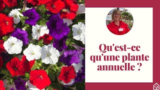 Questce quune plante annuelle [upl. by Housen]