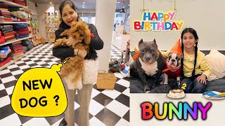 Bunny ka Birthday Hai Aaj 🎂 Dog Birthday Vlog  Harpreet SDC [upl. by Hamilah]