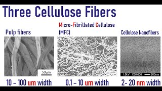 Three cellulose fibers Pulp Microfibrillated cellulose MFC amp Cellulose nanofibers CNFs [upl. by Anelaf]