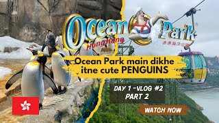 Ocean Park Hong Kong  The Summit  Vlog 2 Part  2  Travel Guide  Hong Kong amp Macau Travel Vlog [upl. by Nixie]